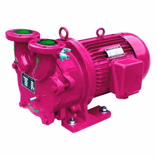 Bomba de vácuo de parafuso Portátil Rotativo Industrial Mini Vane Scroll Diafragma alternativo Centrífugo Deslocamento positivo Melhores fornecedores Bomba de vácuo DC AC